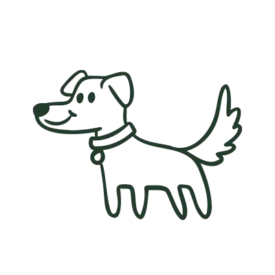 uptown-paws-veterinary-clinic10