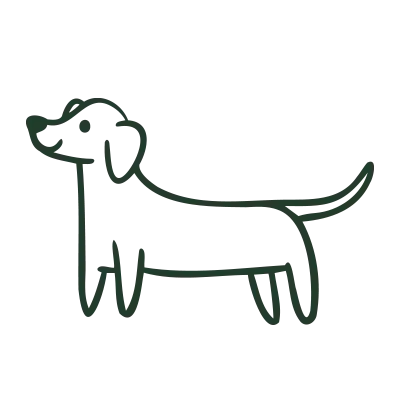 uptown-paws-veterinary-clinic2