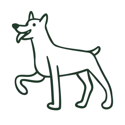 uptown-paws-veterinary-clinic4