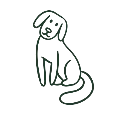 uptown-paws-veterinary-clinic6