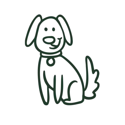 uptown-paws-veterinary-clinic8