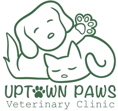 veterinarian-uptown-new-york-city