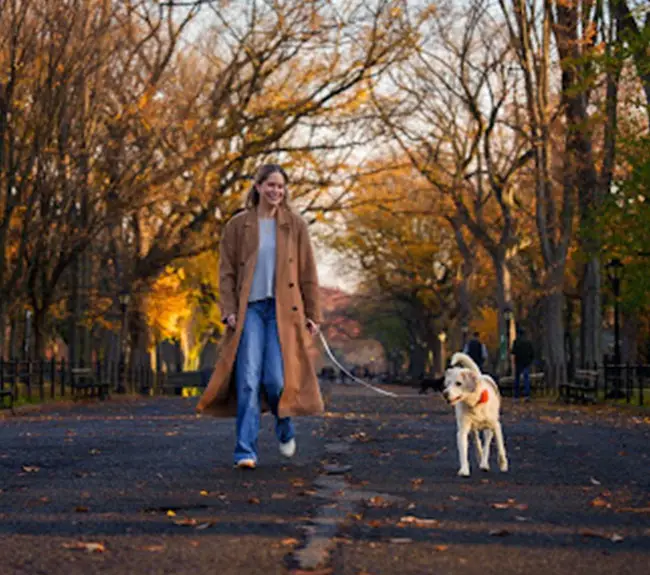 Meet Dr. Diane McCombie, DVM